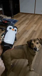 Snowman + Penguin Balloon Marshmallow/Dog treat Shooters