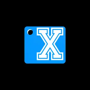 X keychain