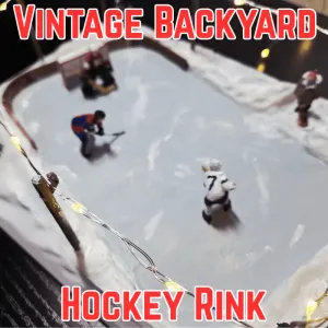Vintage backyard hockey rink