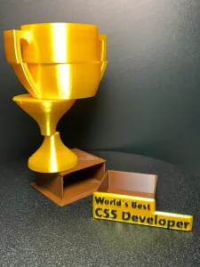 World's Best CSS Developer
