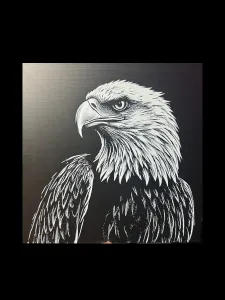 bald eagle V3 Hueforge 200x200