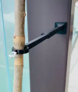 TREE holder telescopic extension