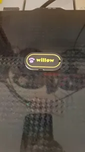 silvato willow
