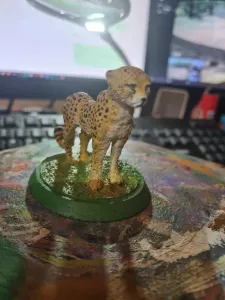 Cheetah