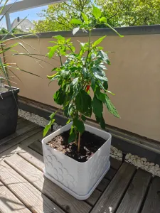 Heavy-Duty Modular Plant Pot & Drainage System