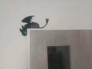 Night Fury Toothless door decor.