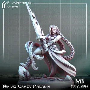 Ninijix Crazy Paladin - Unlikely Alliance