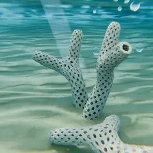 Reef Rock Sanctuary