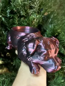Australian Shepherd dog bowl