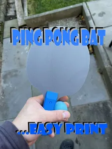 Ping pong bat, rocket