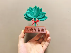 Special grapefruit leaf for removing bad luck去晦气专用柚子叶