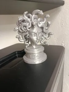 Medusa bust
