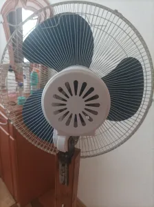 Floor fan