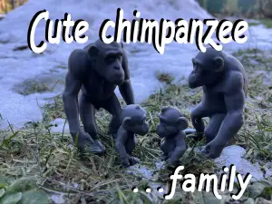 Cute chimpanzee family