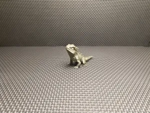 Lizard – Cute Chibi Dragon Hatchling