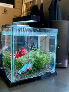 Mini aquarium case lighting bottom frame