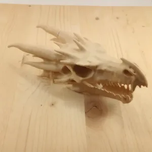 Dragon Skull