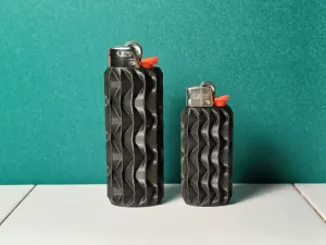 Lighter case for BIC lighter