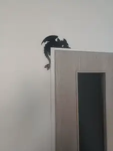 Night Fury Toothless door decor