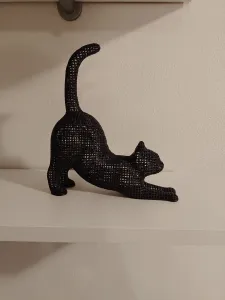 Stretching Cat