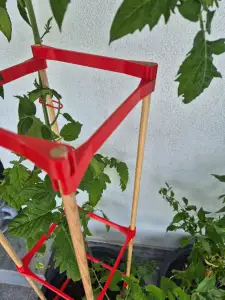 pot plants support