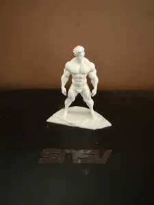 Body Biulder 5
