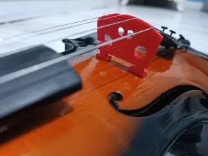 Violin Bridge