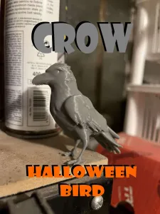 Scary crow, raven