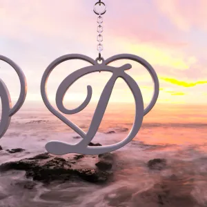 Heart with D Earring for San Valentine