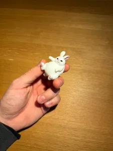 Little Fat Rabbit