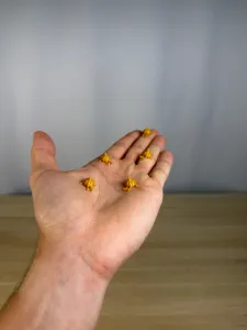 Mini Garlic Buddy