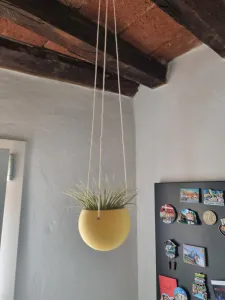 Minimal Hanging Planter
