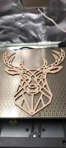 Hart,Deer,Jeleń