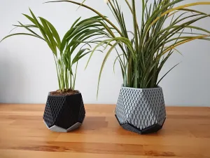 Diamond Hexagonal Planter