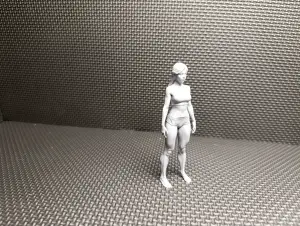 Athletic Woman