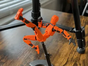 Dummy 13 Model