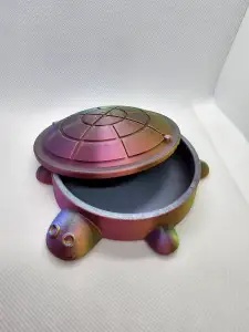 Turtle Sandbox