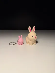 Cute Rabbit