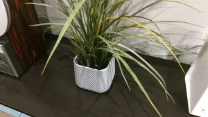 Rounded Square Modern Spiral Planter