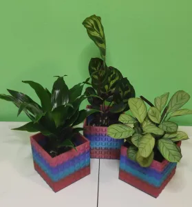 SQUARE POT