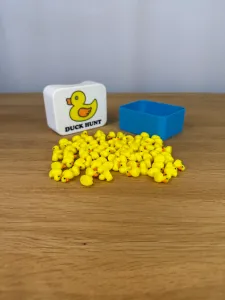 Duck Hunt - Hiding Game