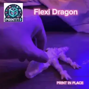 Flexi Dragon
