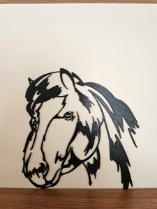 Shetland Pony