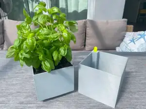 Plant pot with level indicator