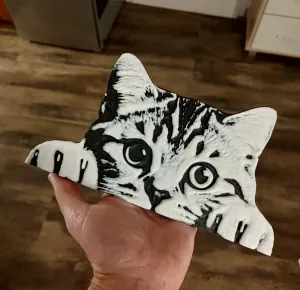 Cute kitten on the door or shelf