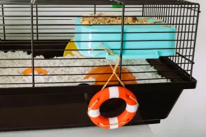 Buoy Life decoration - miniature