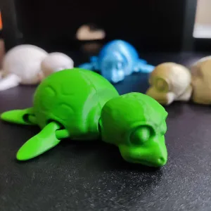 Cute flexi turtle print in place