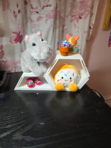 Honeycomb Shelfs