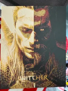 The Witcher (1)