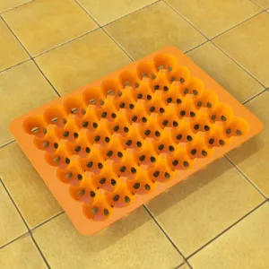 Egg Tray
